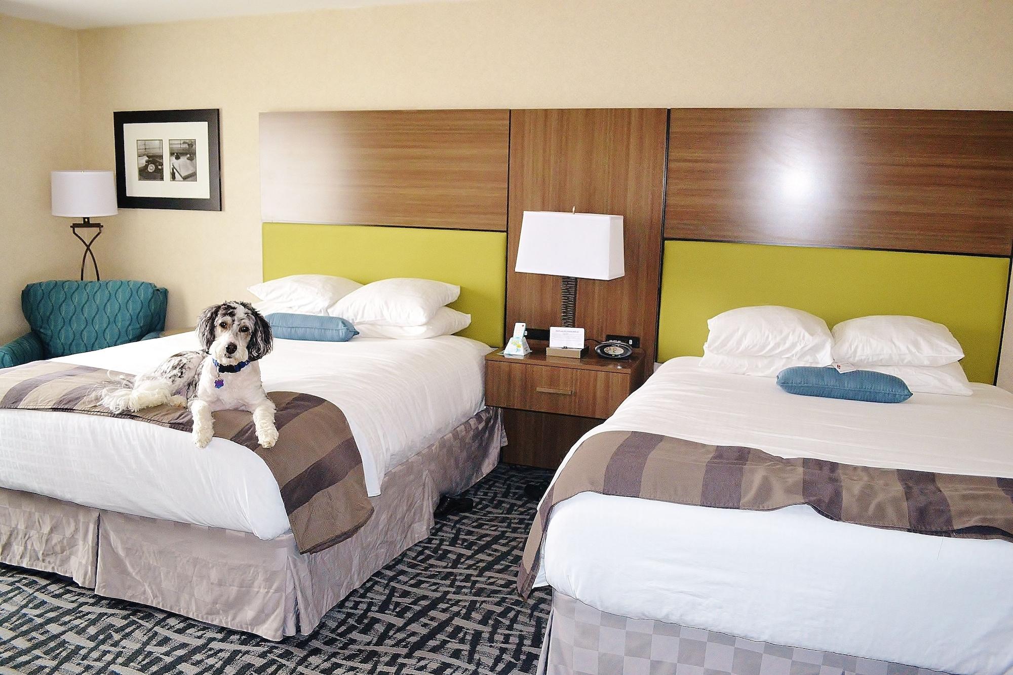 Best Western Dubois Hotel&Conference Center Extérieur photo